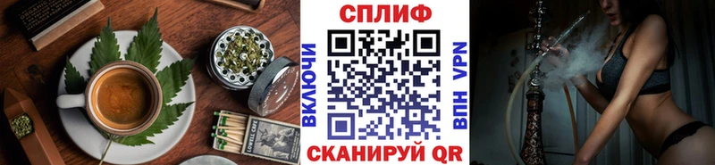 Купить где  Михайловка  Canna-Cookies конопля 