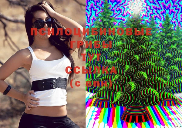 бошки Дмитриев