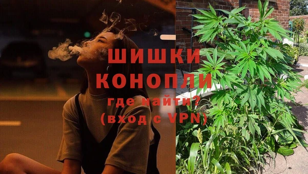 бошки Дмитриев