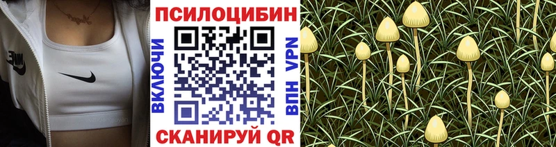 Псилоцибиновые грибы GOLDEN TEACHER  Купить  Михайловка 